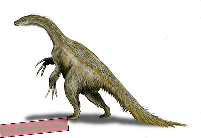En el rastro de un dinosaurio extraño-artículos, blogs, seguimiento de dinosaurios, ciencia, dinosaurios