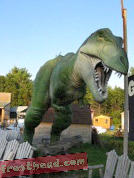 Vidljivost dinosaura: Tyrannosaurus voli drveni namještaj