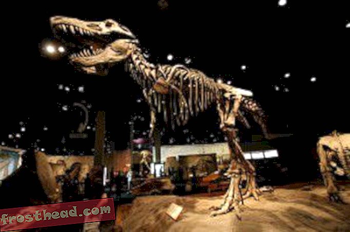 Modal Dinosaur Dunia, Sambungan: Drumheller, Alberta Bites Back