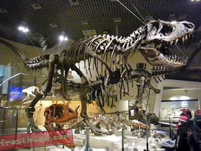 Blog Carnival Edition # 6 - Kepunahan, Museum Tokyo, dan Dinosaurus Resmi Negara Bagian Texas