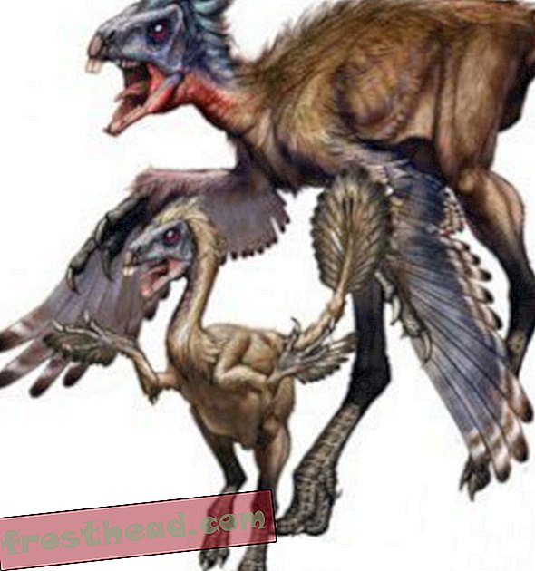 Wyjątkowe skamieliny Rekordowe zmiany piór dinozaurów