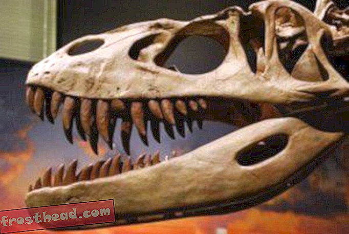 Τι είδους δεινοσαύρων θα θέλατε να δείτε στο Jurassic Park 4;