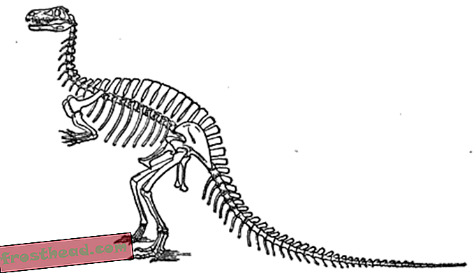 התקפת המגאלוזאורוס-מאמרים, בלוגים, מעקב אחר דינוזאורים, מדע, דינוזאורים