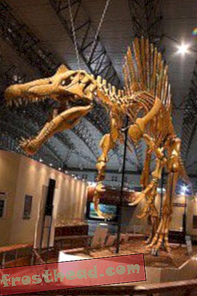 Ny undersøgelse undersøger detaljerne om dinosaurbid