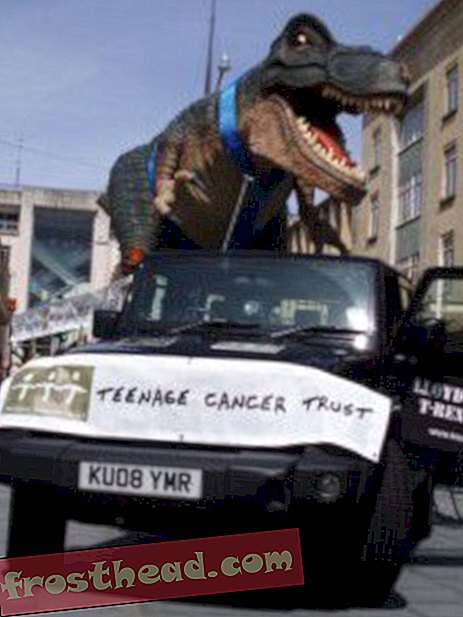 Artikel, Blogs, Dinosaurier-Tracking, Wissenschaft, Dinosaurier - Gehen mit Dinosauriern, um Krebs zu bekämpfen