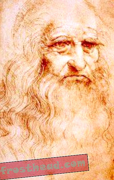 Leonardo da Vinci - Paleontološki pionir