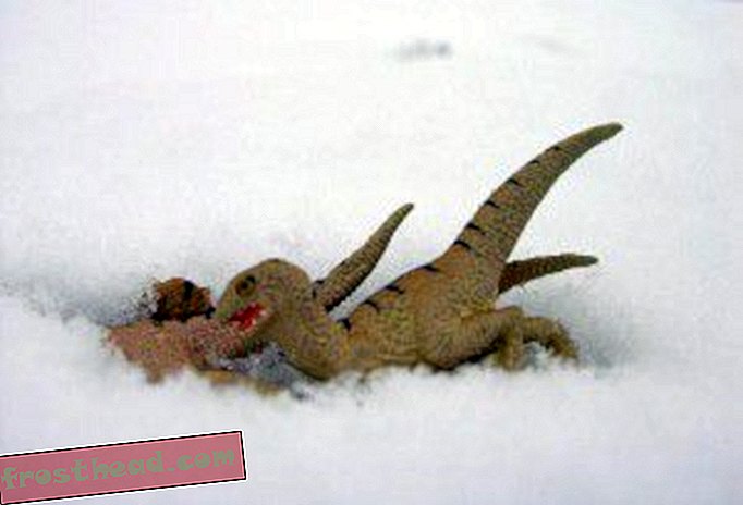 Varmt og koldt løbende dinosaurier