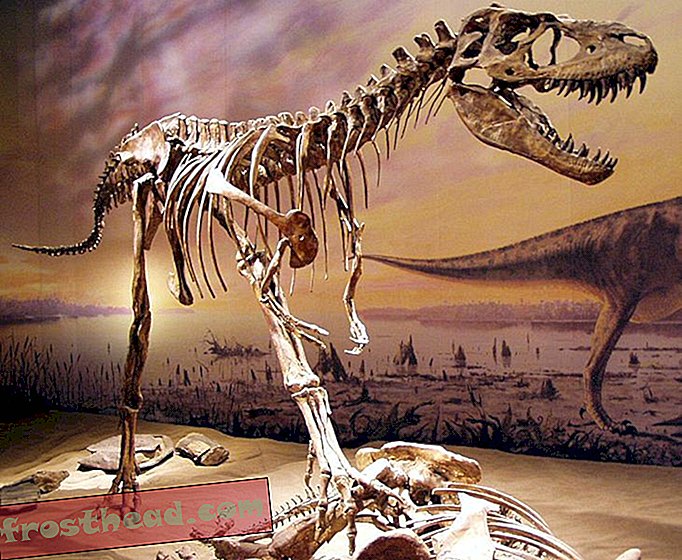 Канализационните работници намират кости от динозавър в костите под Едмънтън