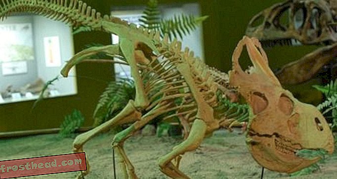 Τρώγοντες του νεκρού δεινοσαύρου