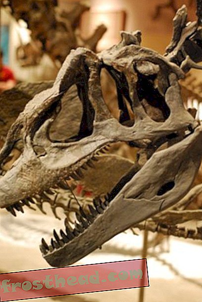 artículos, blogs, seguimiento de dinosaurios, ciencia, dinosaurios - Llevando a los dinosaurios a la velocidad