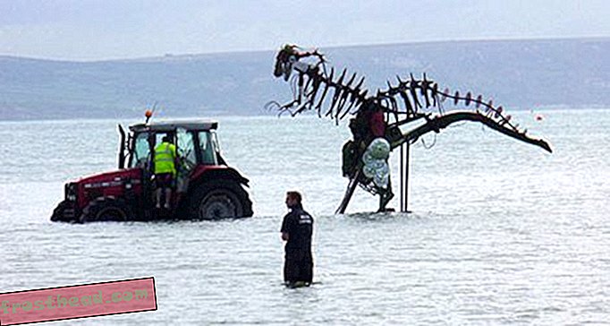 artiklid, ajaveebid, dinosauruste jälgimine, teadus, dinosaurused - Dorseti dinosaurus eemaldati politsei eskorti alt