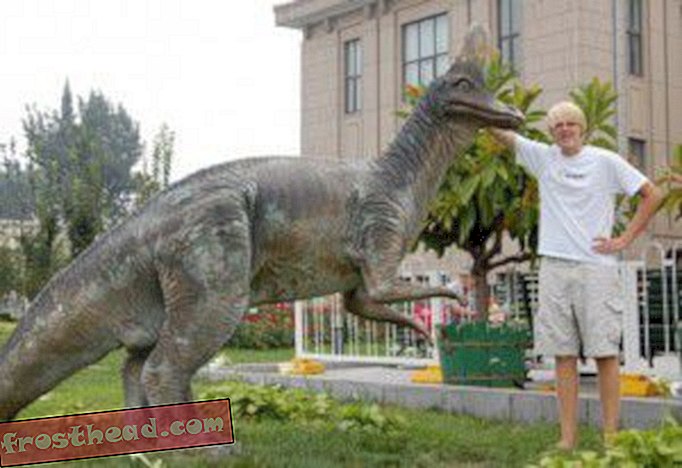 लेख, ब्लॉग, डायनासोर ट्रैकिंग, विज्ञान, डायनासोर - डायनासौर साइटिंग: बीजिंग में Corythosaurus