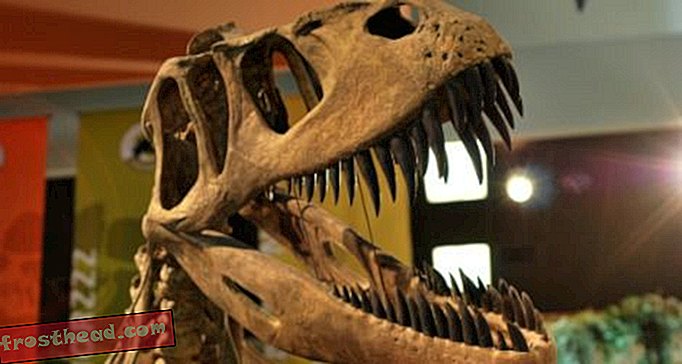 статьи, блоги, слежение за динозаврами, наука, динозавры - Время динозавров