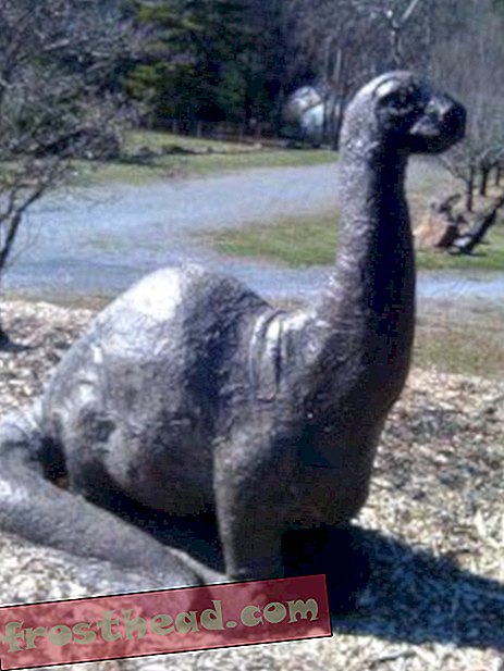 डायनासौर साइटिंग: कैम्प का ग्राउंड "Brontosaurus"