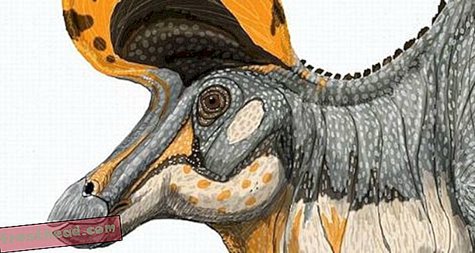 articles, blogs, suivi de dinosaures, science, dinosaures - Les secrets intimes de la vie des dinosaures