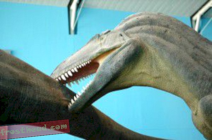 Парк Новог Диносаура Мариланд-чланци, блогови, праћење диносауруса, наука, диносауруси