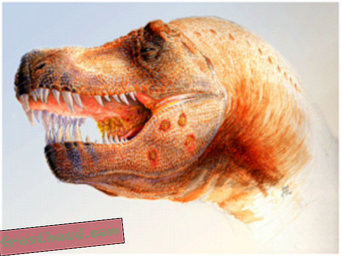 טירנוזאורוס סבל ממחלת ציפורים