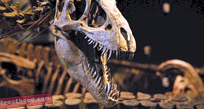 статьи, блоги, слежение за динозаврами, наука, динозавры - Будет ли когда-нибудь еще один великий фильм о динозаврах?