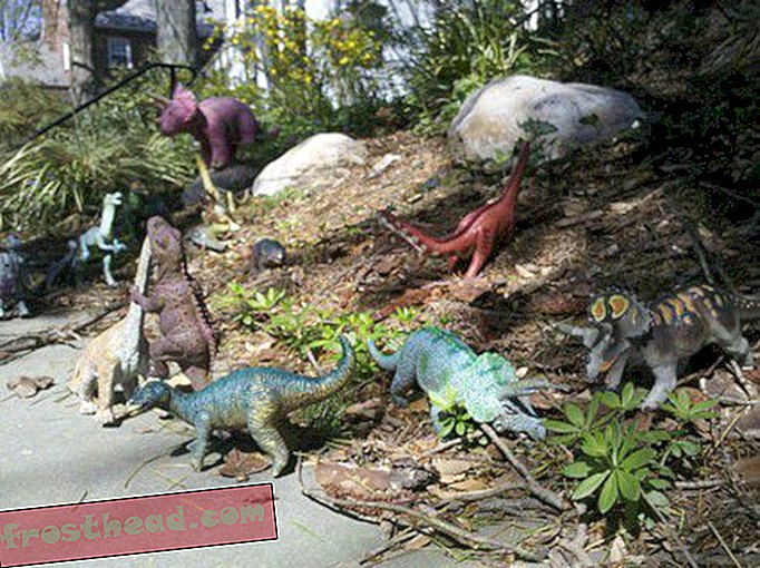 Dinosaurier-Sichtung: Miniatur-Mesozoikum-Schlacht
