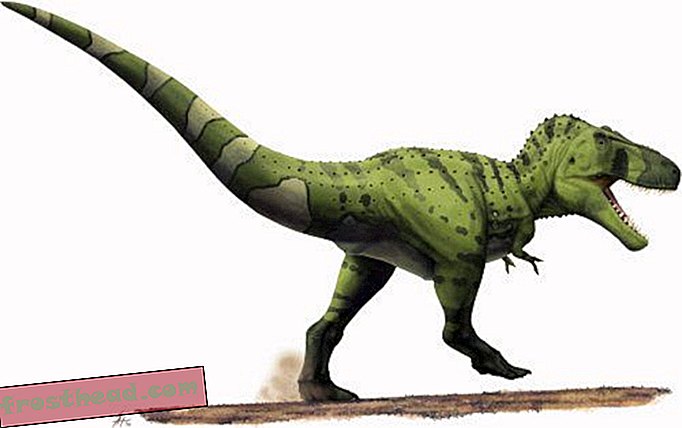 Tyrannosaurus tenía basura extra en el maletero-artículos, blogs, seguimiento de dinosaurios, ciencia, dinosaurios