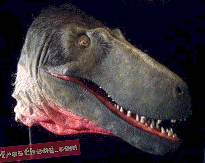 članci, blogovi, praćenje dinosaura, znanost, dinosauri - Vraćanje suhosaurusa u život