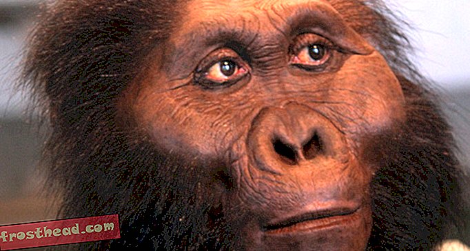 artikel, blog, memburu hominid, sains, sains - Top Seven Human Discoveries Evolusi Dari Tanzania