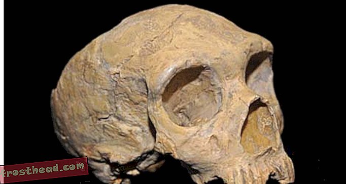 Artikel, Blogs, Hominidenjagd, Wissenschaft, Wissenschaft - Der Felsen von Gibraltar: Die letzte Zuflucht der Neandertaler