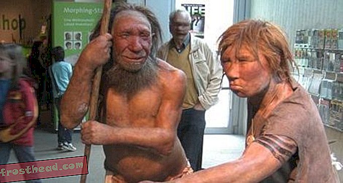 Neanderthals स्टोन एज रोडियो राइडर्स नहीं थे?