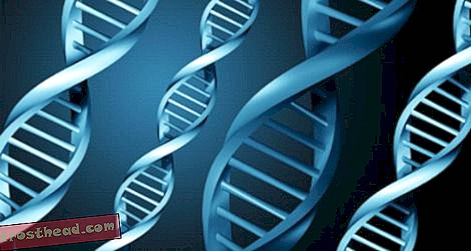 הגנום שנשאר על הנתינה-מאמרים, בלוגים, חידושים, חדשנות, מדע, טכנולוגיה וחלל