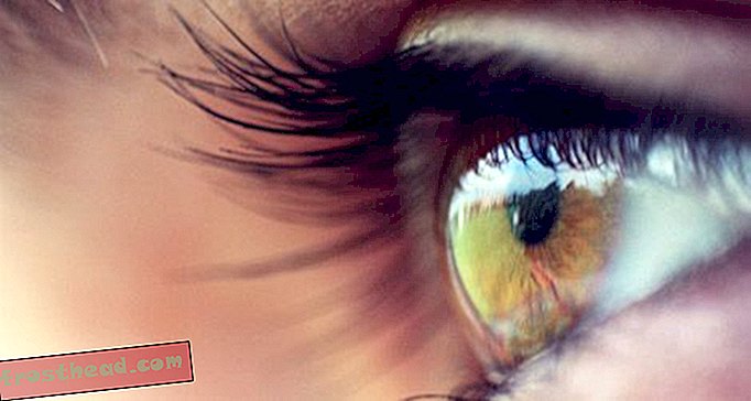 Да ли су ваше очи такође прозор у ваш мозак?