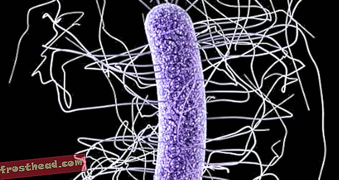 articles, blogs, innovations, innovation, santé et médecine, technologie, sciences, esprit et corp - Que faudra-t-il pour éliminer les Superbugs?