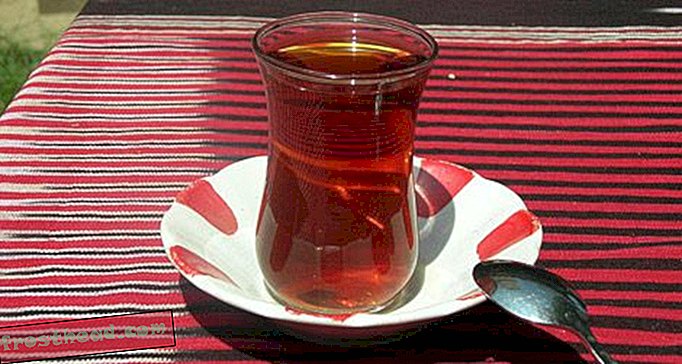 Thé et ours en Turquie