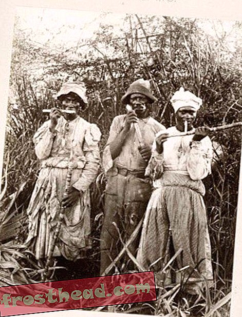 Захарни работници в ямайска плантация