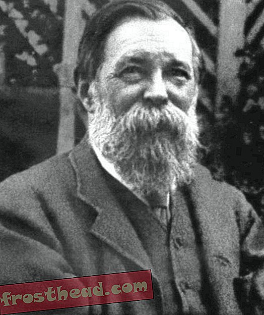 Engels u kasnijem životu. Umro je 1895. godine, u 74. godini života.