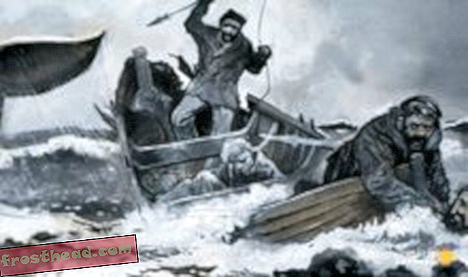 articles, blogs, passé imparfait, histoire, histoire, archéologie, histoire américaine, histoire d - L'horreur de la vie réelle qui a inspiré Moby-Dick
