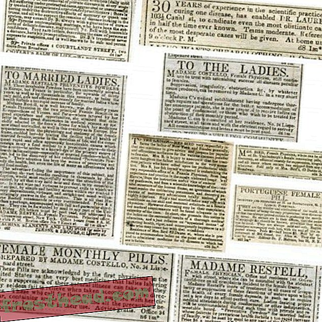 Advertenties van de New York Herald en de New York Sun, december 1841