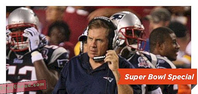 Super Bowl-tiede: Ovatko jalkapallovalmentajat irrationaalisia?-artikkeleita, blogeja, yllättävää tiedettä, tiedettä, ihmisen käyttäytymistä