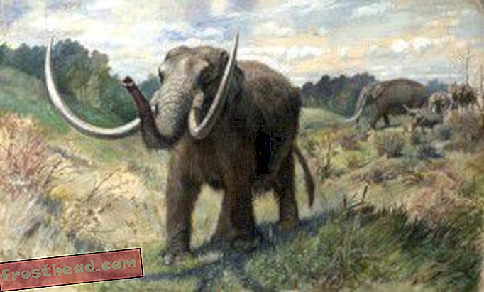 articles, blogs, science surprenante, science, faune - Accepter l'idée d'extinction