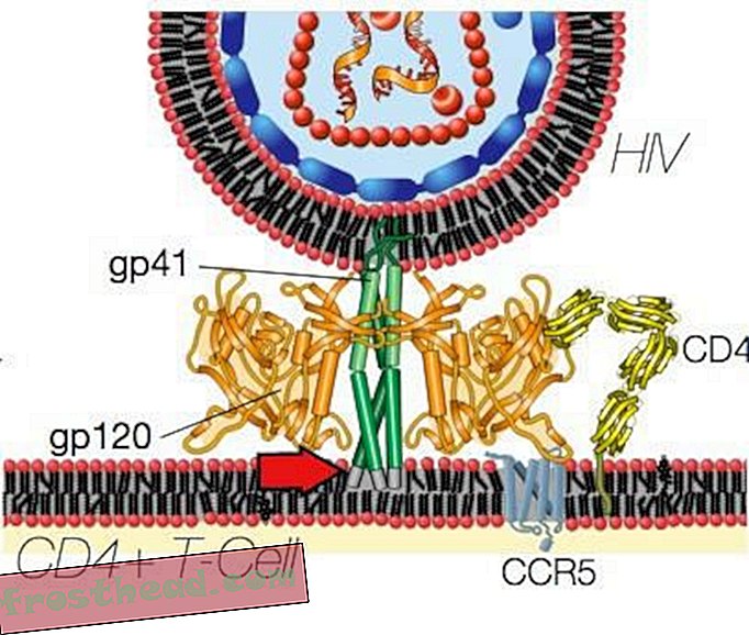 članci, blogovi, iznenađujuća znanost, znanost, um i tijelo - Otkriveno: prirodni protein u majčinom mlijeku koji se bori protiv HIV-a