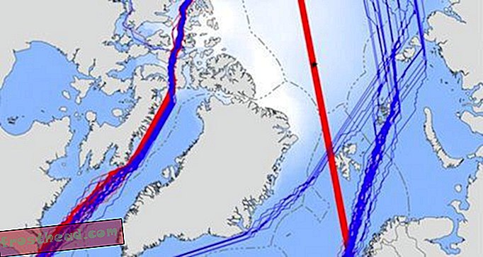 Le changement climatique pourrait permettre aux navires de traverser le pôle nord d'ici 2040
