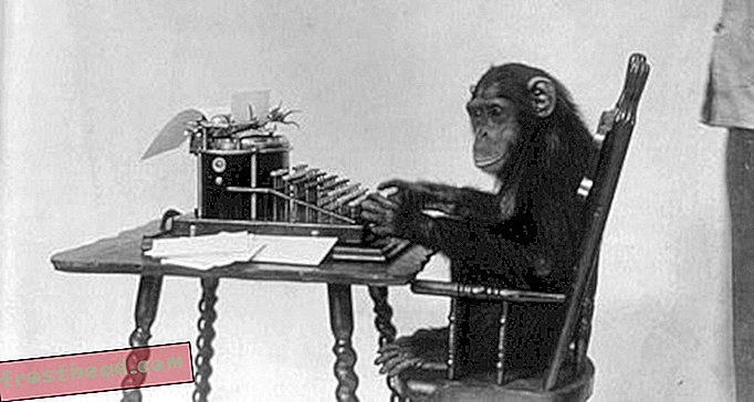 članci, blogovi, iznenađujuća znanost, znanost, divljina - Šimpanze ne bi trebale biti zabavljači