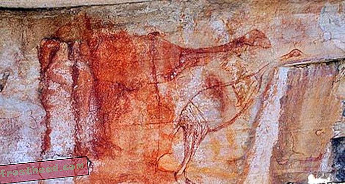 מפתח הציפורים שנכחד כדי לצאת עם אמנות המערות העתיקה ביותר באוסטרליה