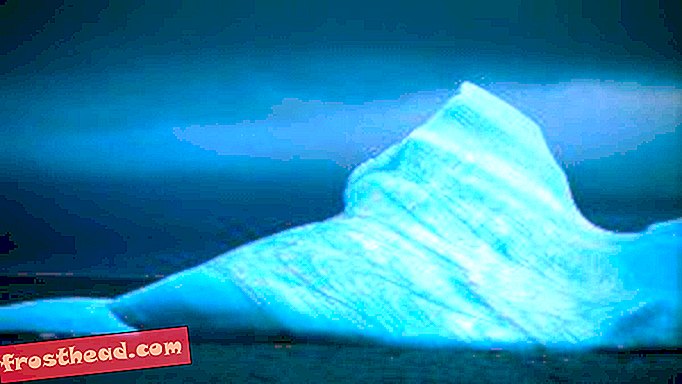 Les icebergs contribuent à l'élévation du niveau de la mer