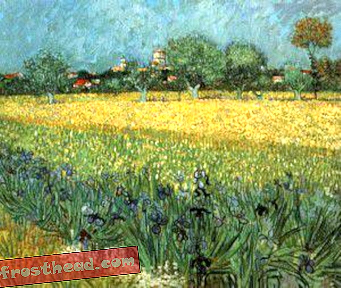 O segredo por trás dos girassóis de Van Gogh-artigos, blogs, ciência surpreendente, ciência, comportamento humano