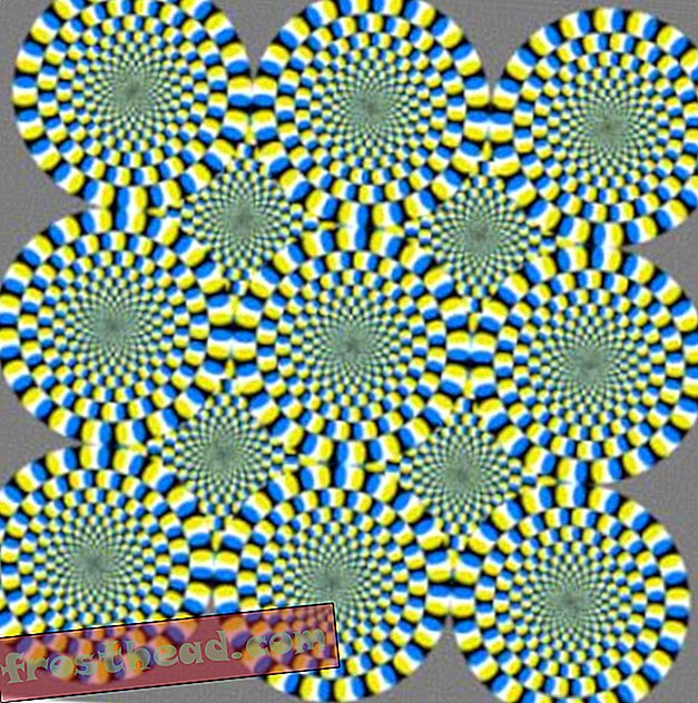 Slika tjedna - optička iluzija