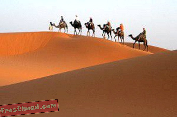 Groene Sahara heeft mogelijk route uit Afrika voor vroege mensen geboden-artikelen, blogs, verrassende wetenschap, wetenschap, onze planeet