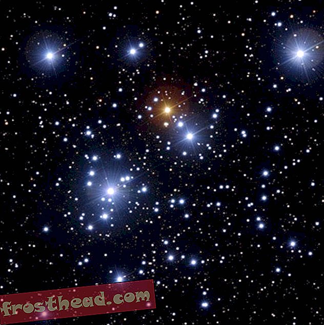 Bild der Woche - Der Kappa Crucis Cluster, auch bekannt als „Jewel Box“
