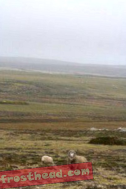 Falklandi hunt: Darwini mõistatus lahendatud