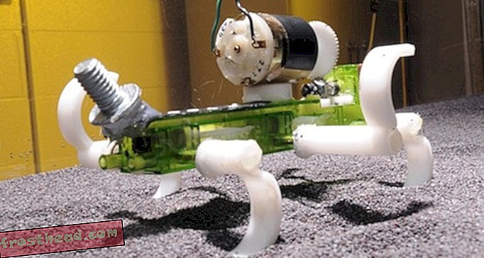 Видео: Овај робот инспирисан гуштером може да се пробија по песку
