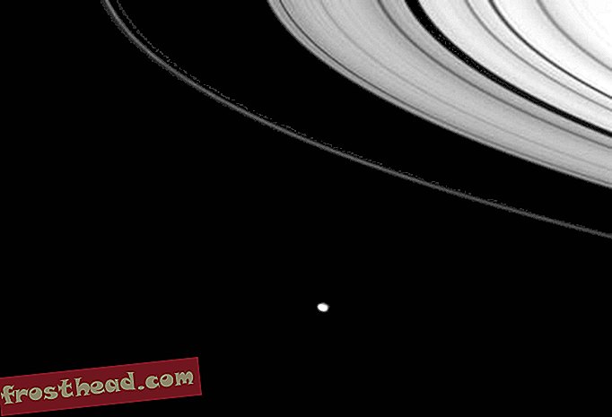 El nacimiento de las lunares de Saturno